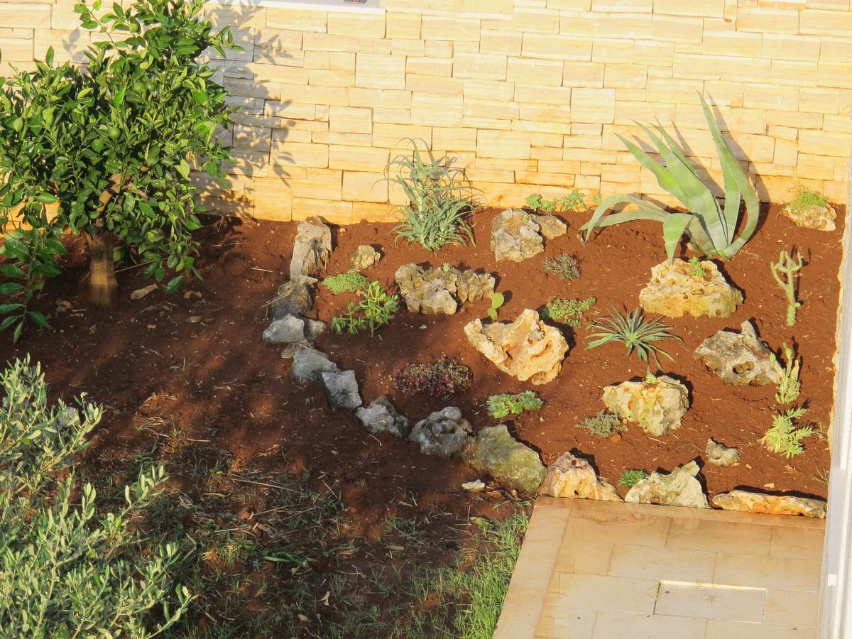 סביד Villa Elena מראה חיצוני תמונה